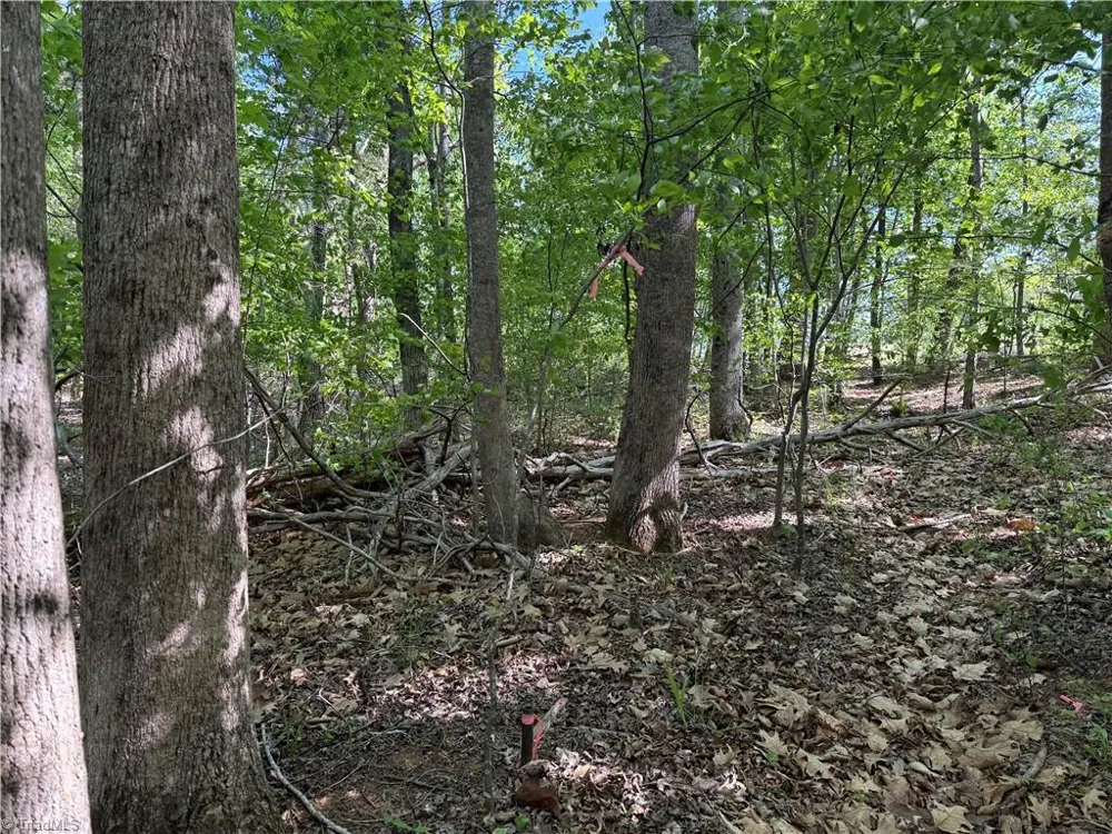 618 Crystal Cove Lane Yanceyville, NC 27379