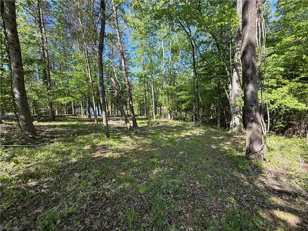 618 Crystal Cove Lane Yanceyville, NC 27379