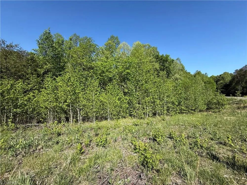 618 Crystal Cove Lane Yanceyville, NC 27379
