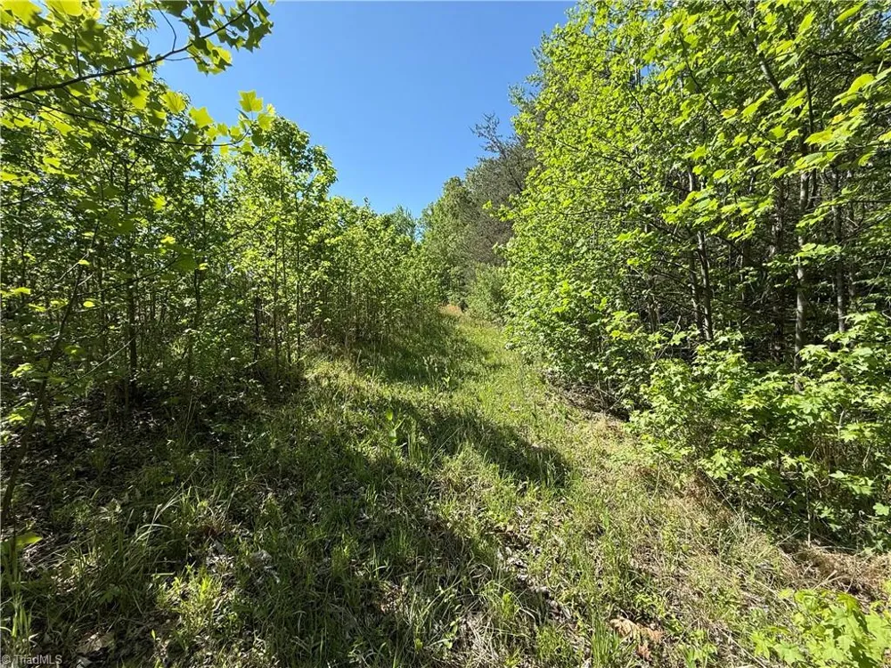 618 Crystal Cove Lane Yanceyville, NC 27379