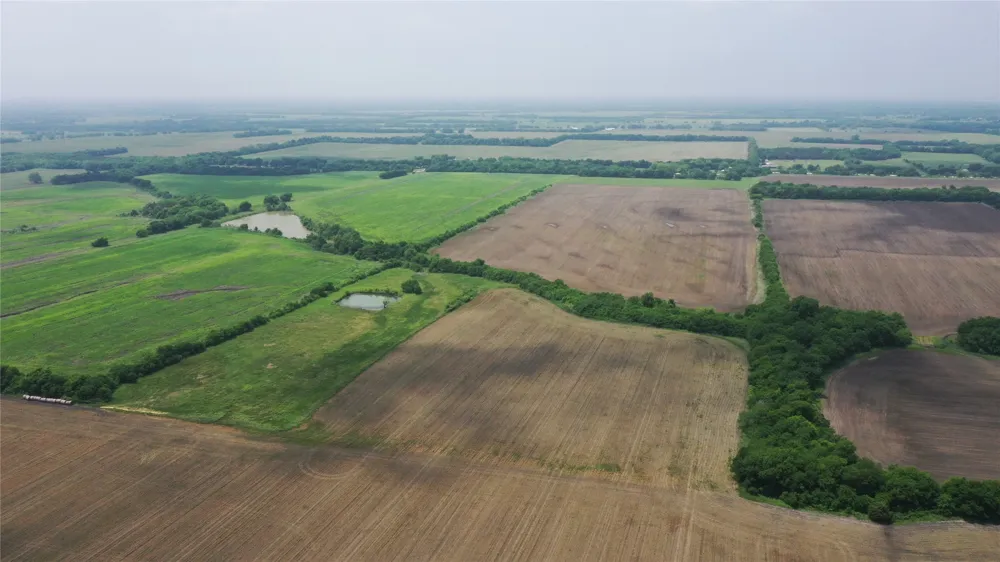 Fm 64 Pecan Gap, TX 75469