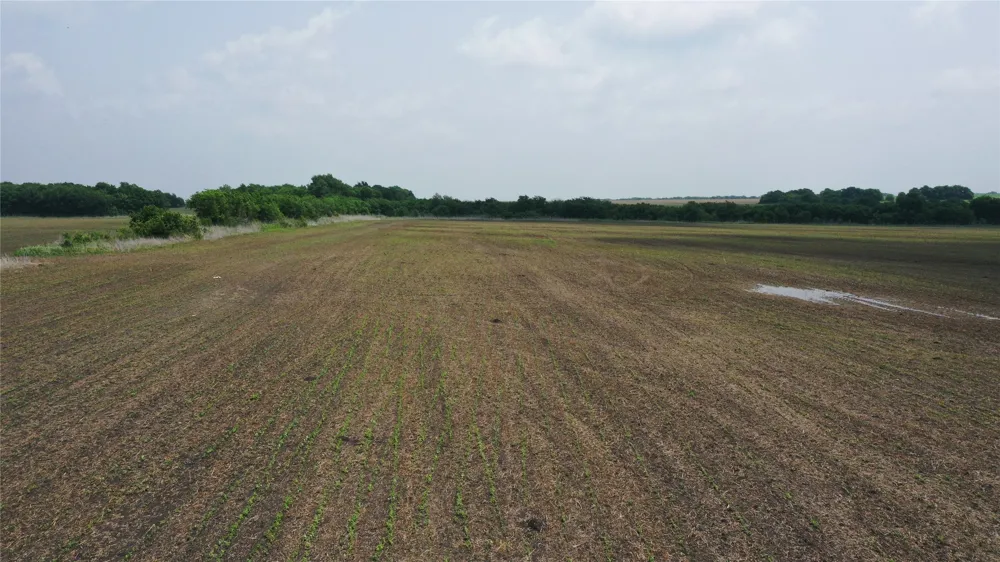 Fm 64 Pecan Gap, TX 75469