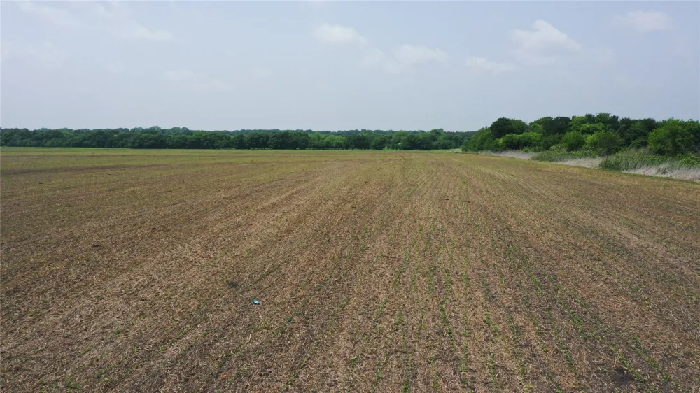 Fm 64 Pecan Gap, TX 75469