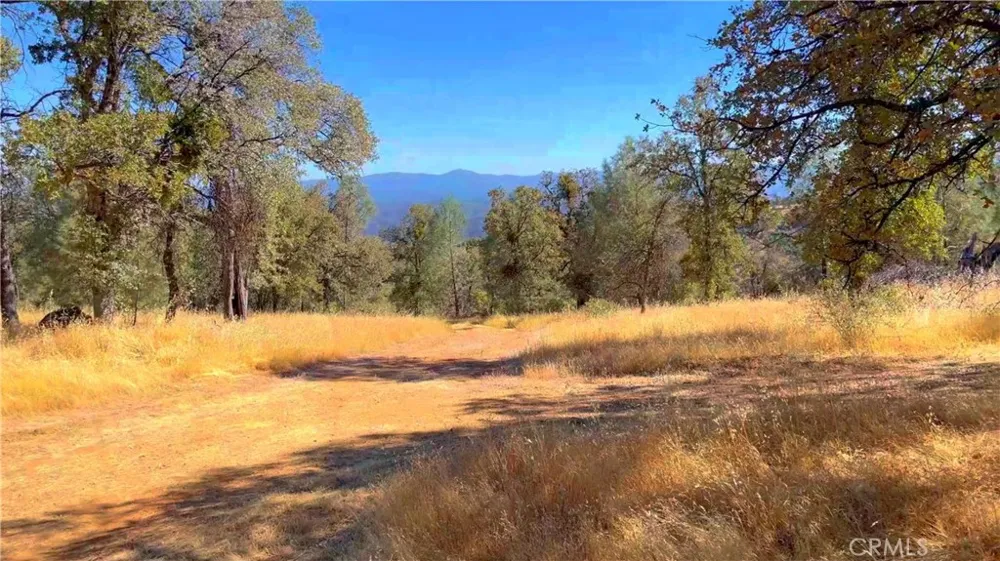 5341 Paddy Hill Road Mariposa, CA 95338