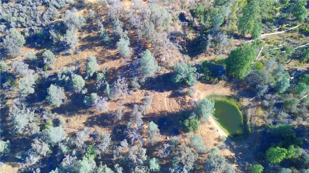 5341 Paddy Hill Road Mariposa, CA 95338