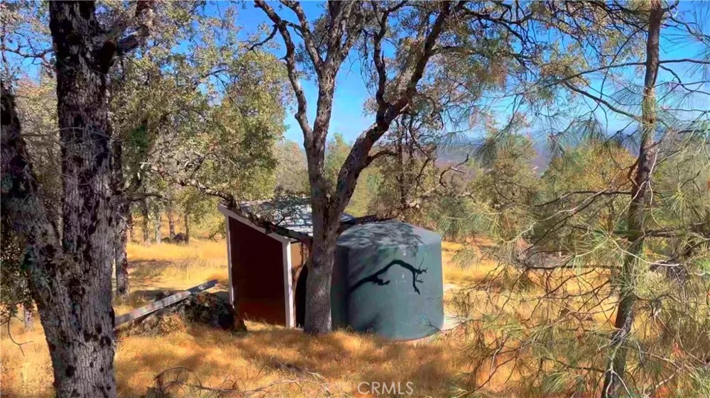5341 Paddy Hill Road Mariposa, CA 95338