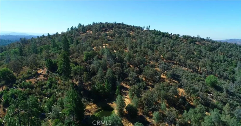 5341 Paddy Hill Road Mariposa, CA 95338