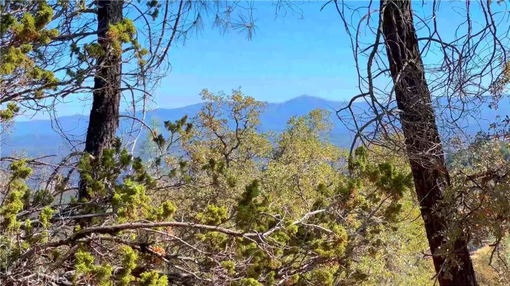 5341 Paddy Hill Road Mariposa, CA 95338
