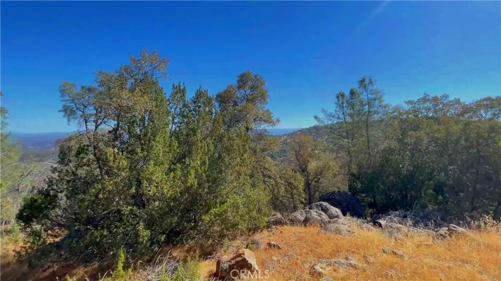 5341 Paddy Hill Road Mariposa, CA 95338