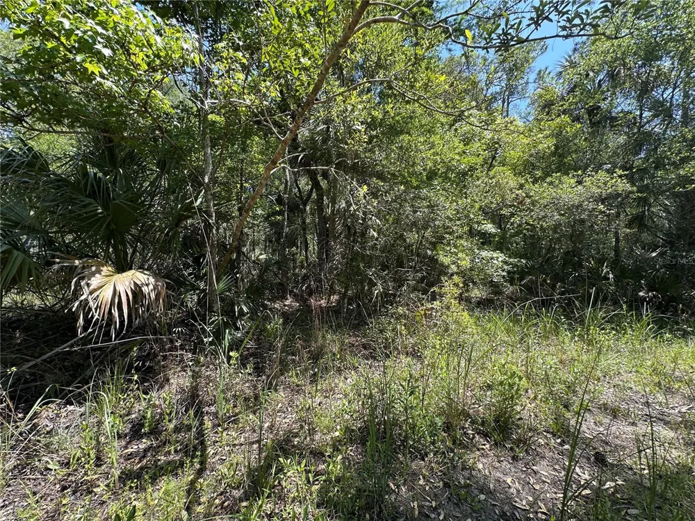 Tract 102 SW CR-347 Chiefland, FL 32644