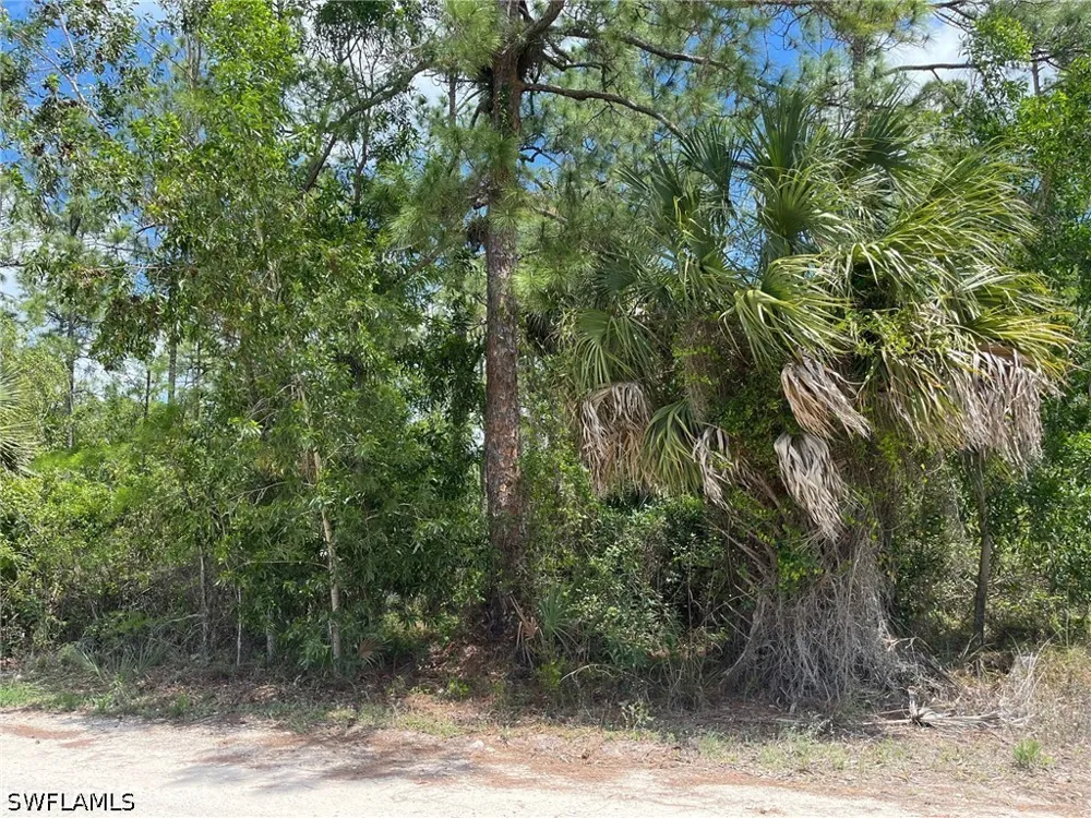 Blue Sage Drive Naples, FL 34117
