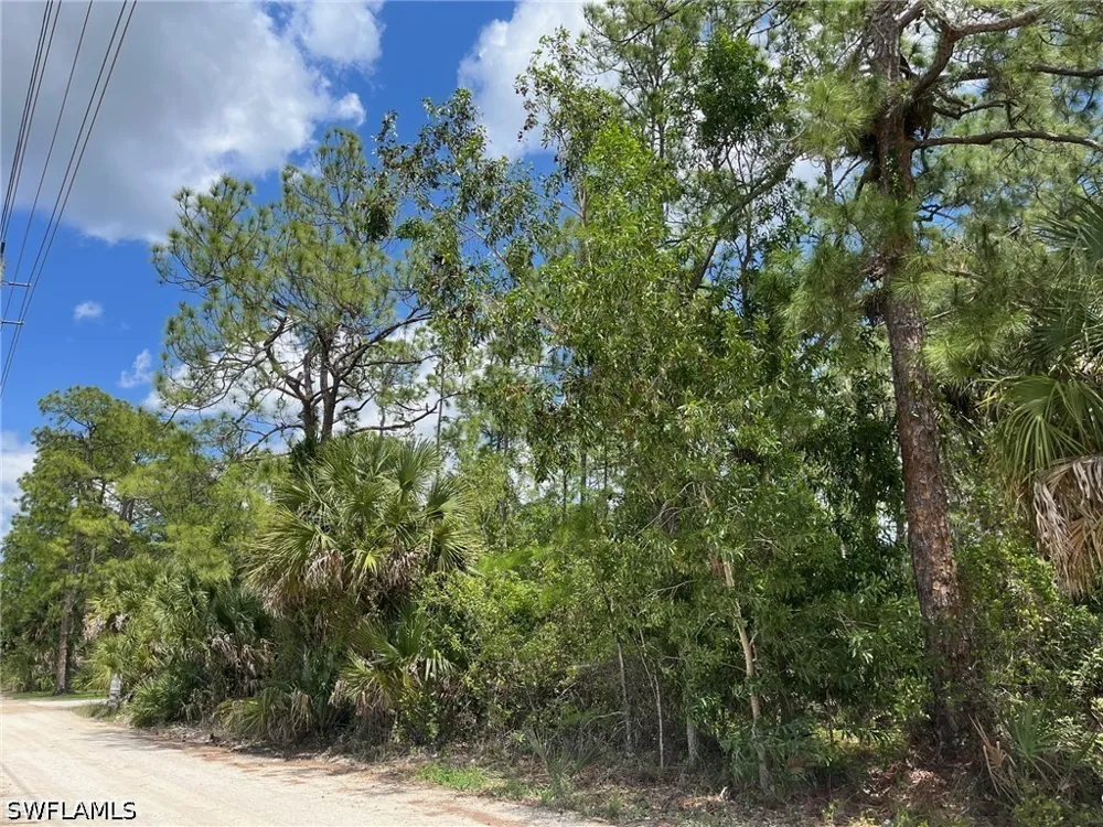 Blue Sage Drive Naples, FL 34117