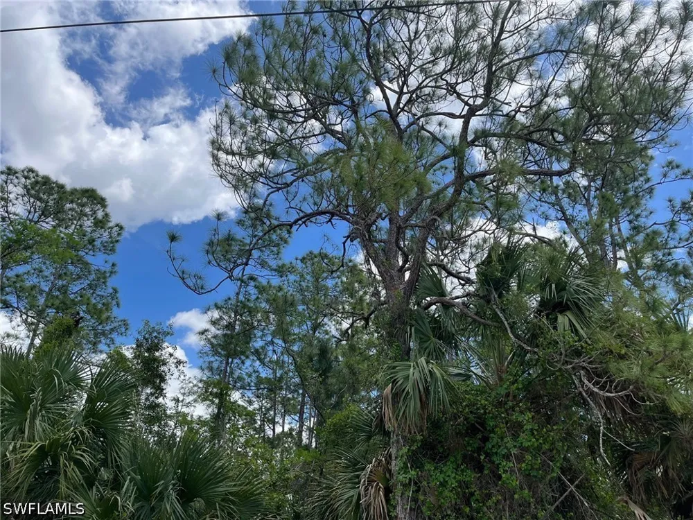 Blue Sage Drive Naples, FL 34117