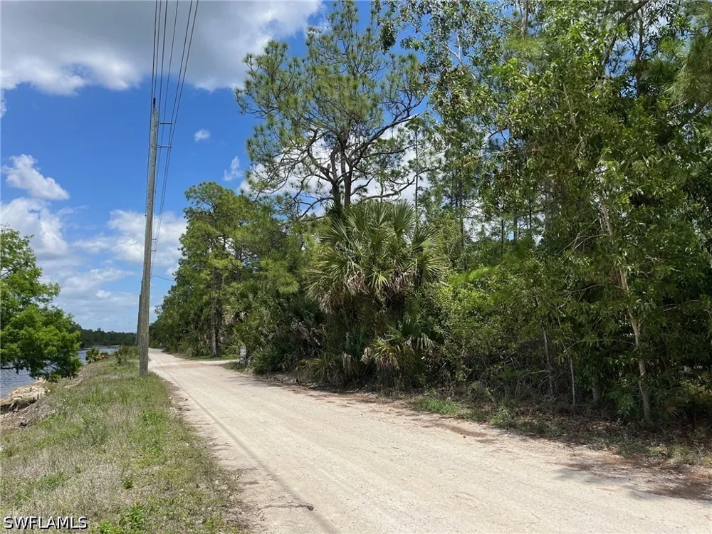 Blue Sage Drive Naples, FL 34117