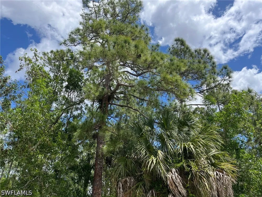 Blue Sage Drive Naples, FL 34117