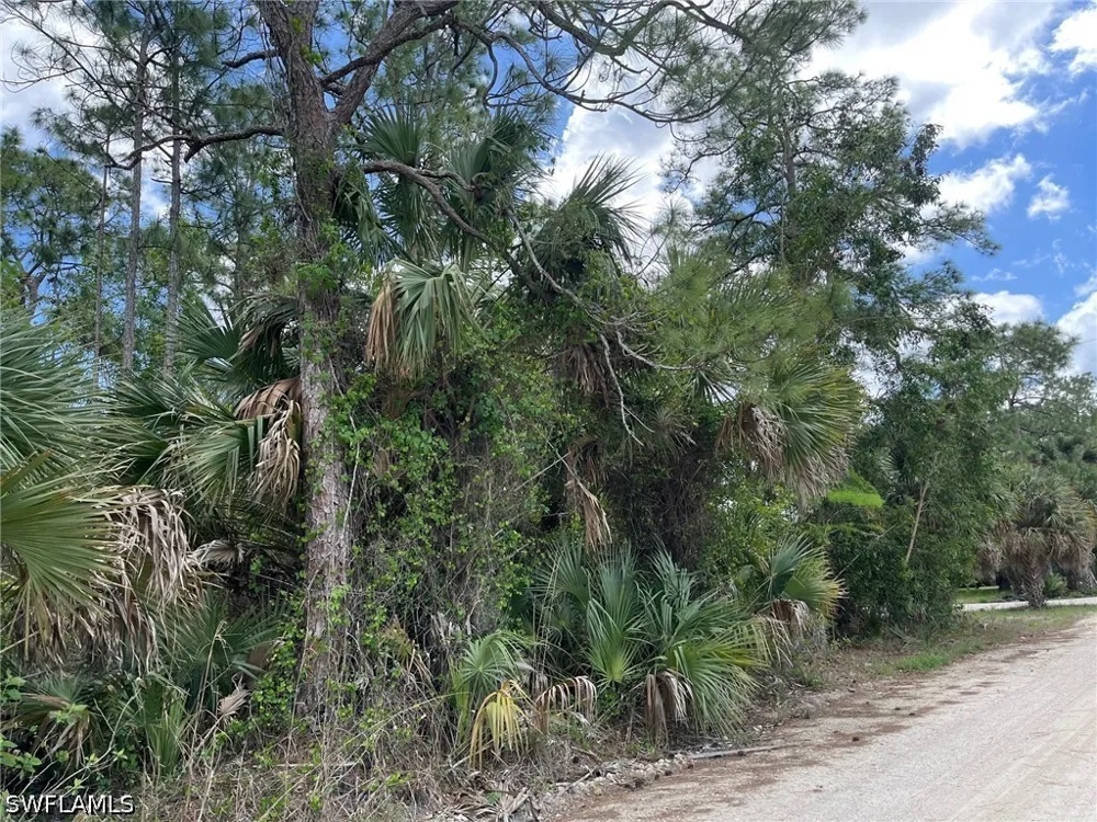 Blue Sage Drive Naples, FL 34117