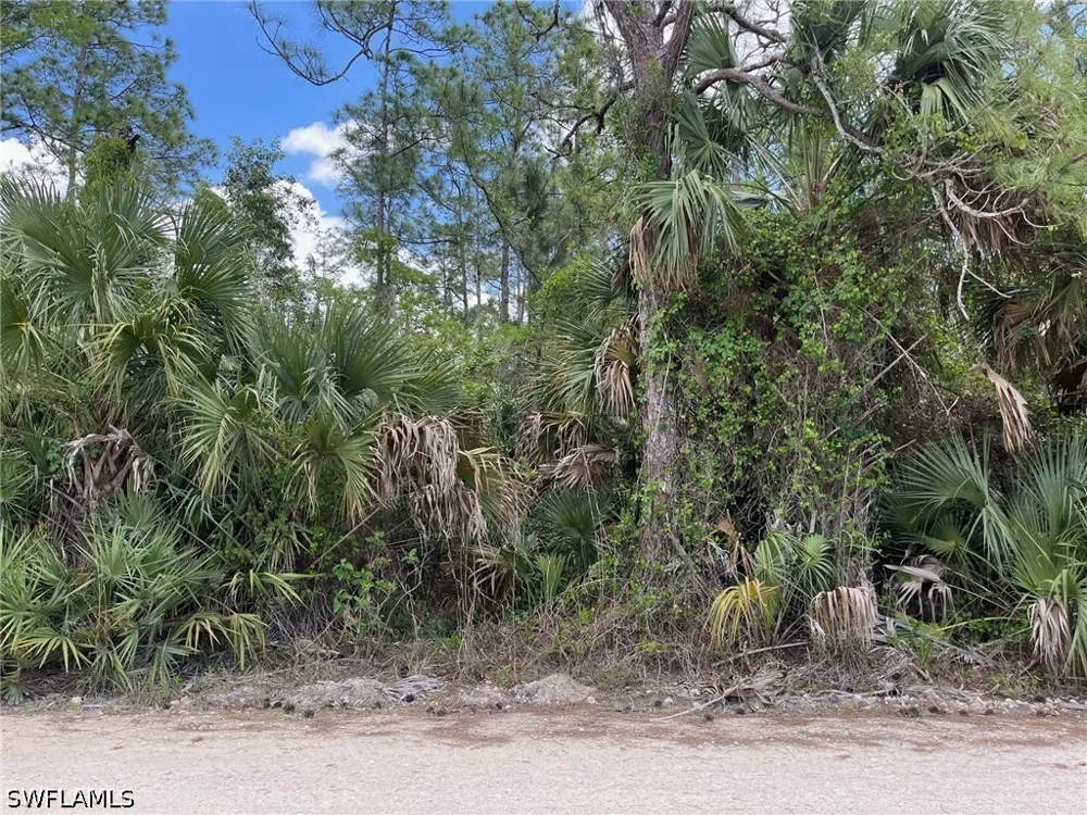 Blue Sage Drive Naples, FL 34117