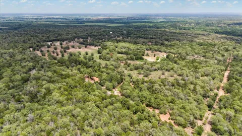 1611 Bartons Creek Road Road