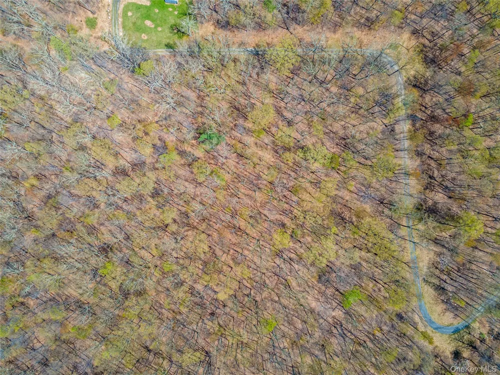 tbd Forest Glen Road Pine Bush, NY 12566