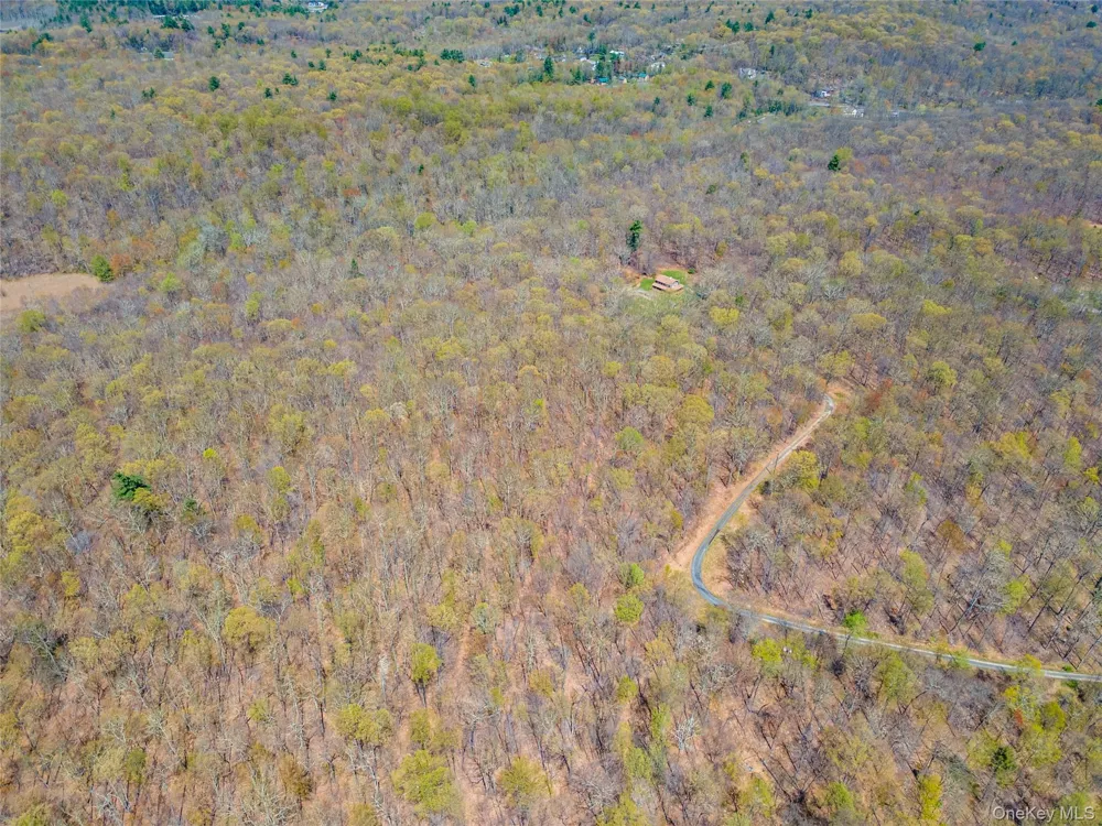 tbd Forest Glen Road Pine Bush, NY 12566