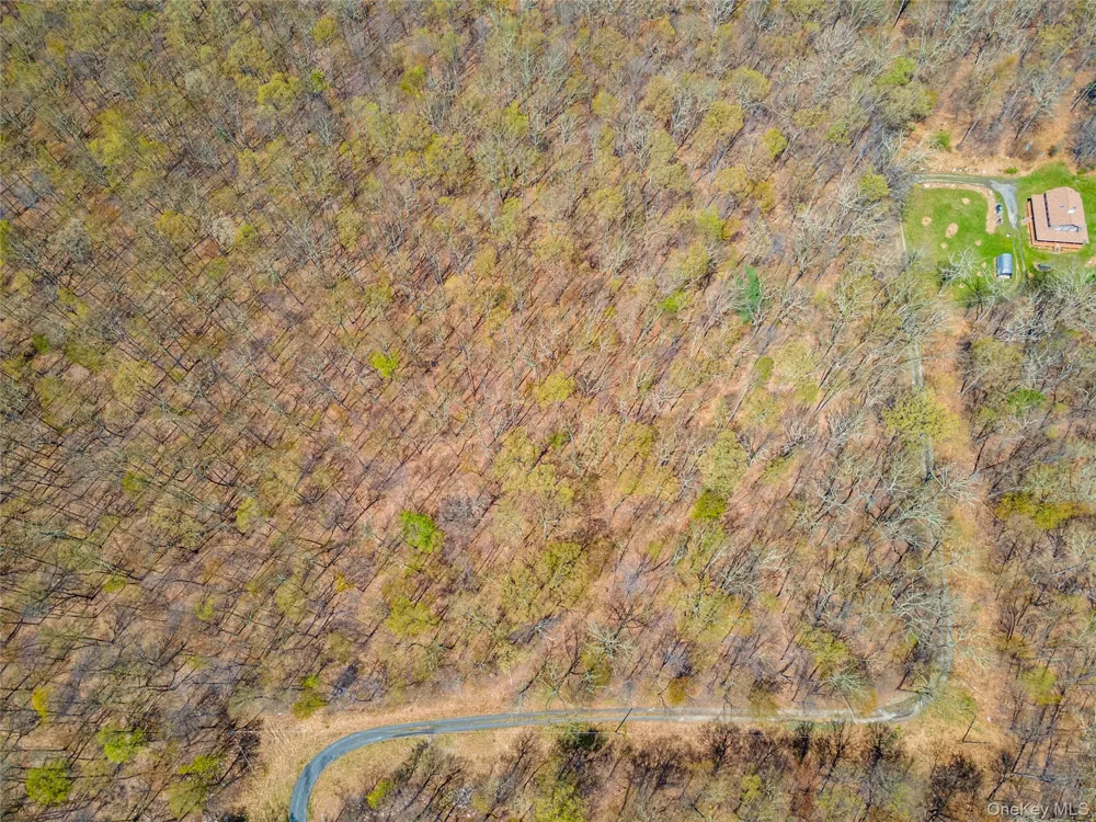 tbd Forest Glen Road Pine Bush, NY 12566