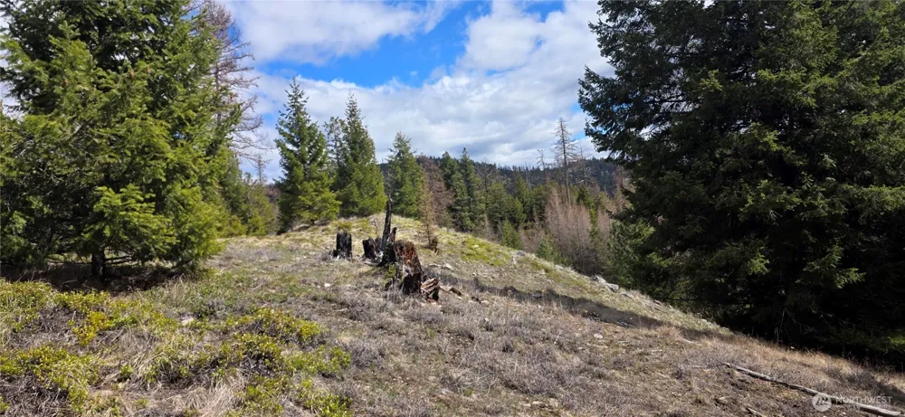 1112 TBD Bandtman Creek Rd Tonasket, WA 98855