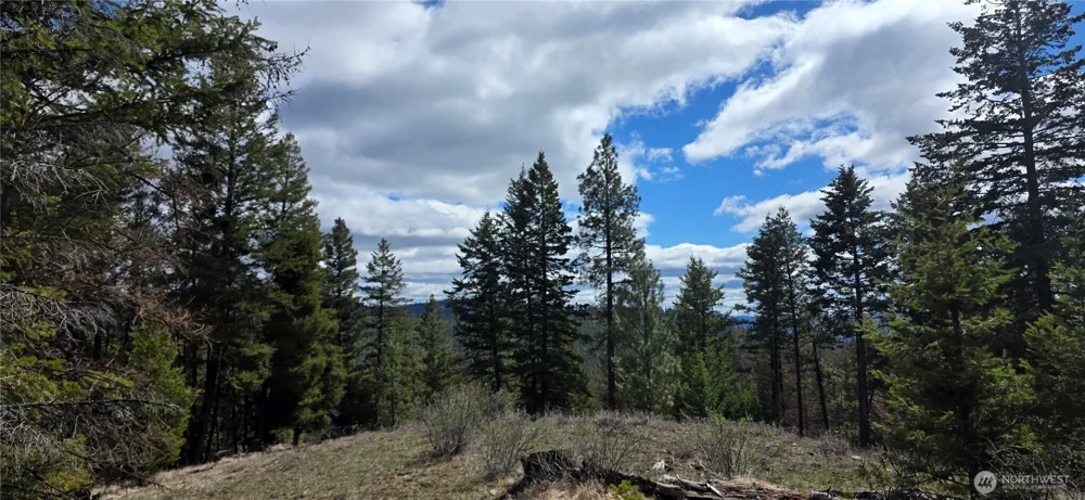 1112 TBD Bandtman Creek Rd Tonasket, WA 98855