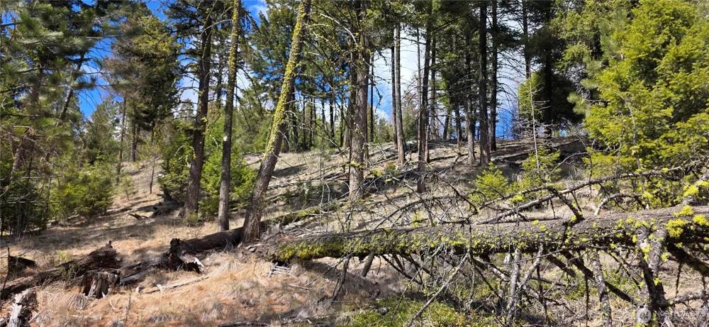 1112 TBD Bandtman Creek Rd Tonasket, WA 98855