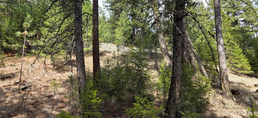 1112 TBD Bandtman Creek Rd Tonasket, WA 98855