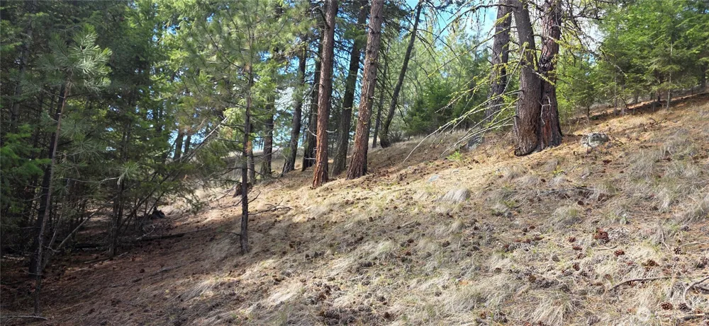 1112 TBD Bandtman Creek Rd Tonasket, WA 98855