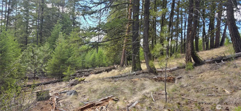 1112 TBD Bandtman Creek Rd Tonasket, WA 98855