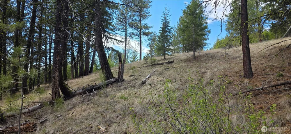 1112 TBD Bandtman Creek Rd Tonasket, WA 98855