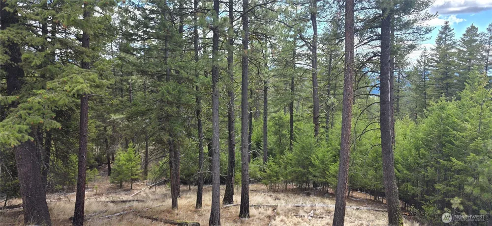 1112 TBD Bandtman Creek Rd Tonasket, WA 98855