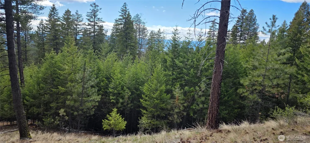 1112 TBD Bandtman Creek Rd Tonasket, WA 98855