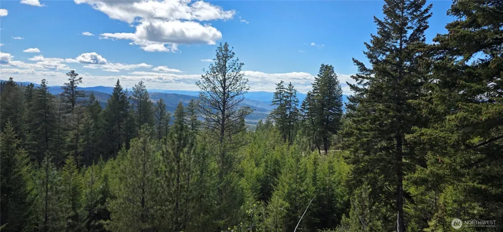 1112 TBD Bandtman Creek Rd Tonasket, WA 98855