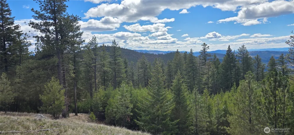 1112 TBD Bandtman Creek Rd Tonasket, WA 98855