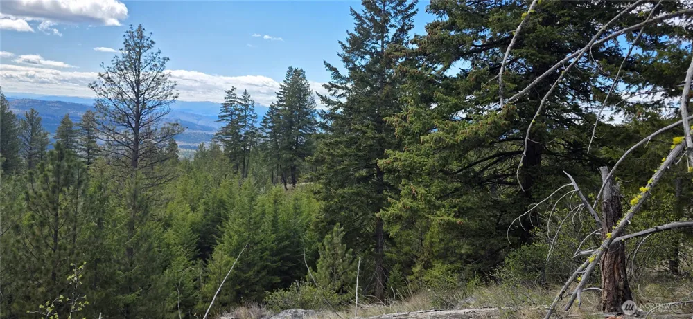 1112 TBD Bandtman Creek Rd Tonasket, WA 98855