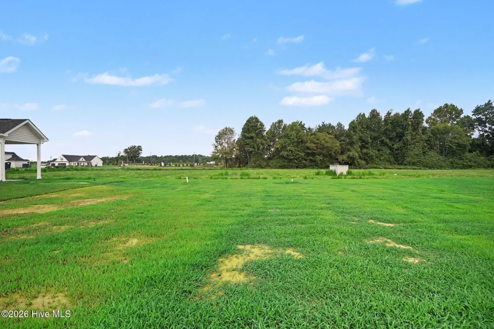 117 Margot Manor Drive Benson, NC 27504