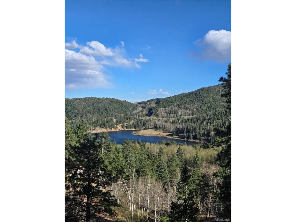 161 Highland Circle Rye, CO 81069