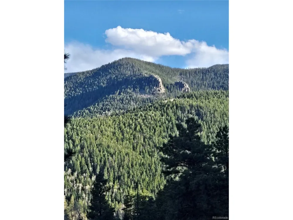 161 Highland Circle Rye, CO 81069