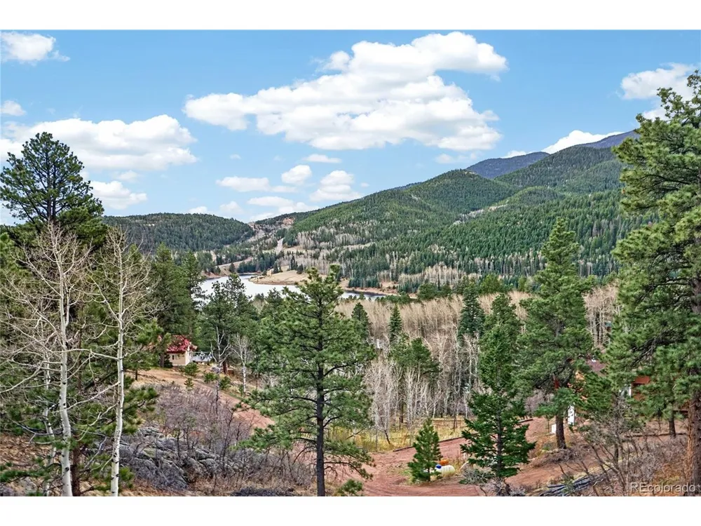 161 Highland Circle Rye, CO 81069