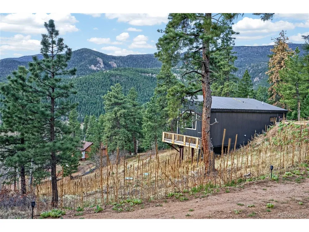 161 Highland Circle Rye, CO 81069