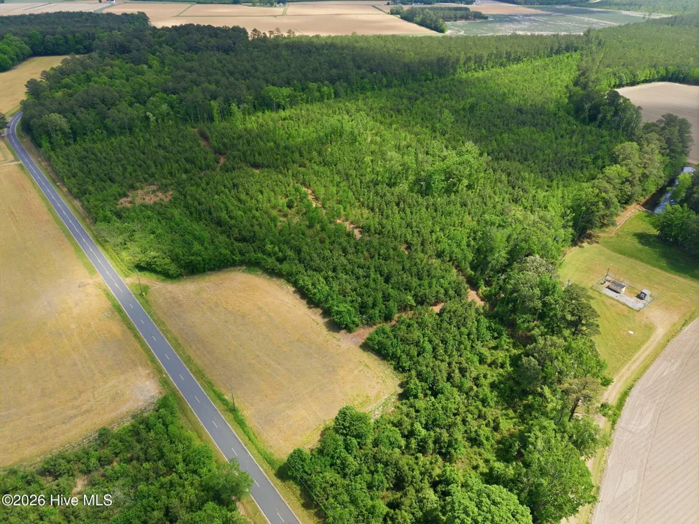2733 Jim Taylor Road Stokes, NC 27884