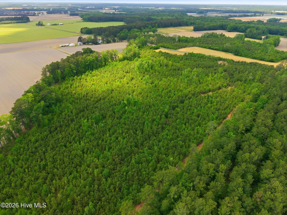 2733 Jim Taylor Road Stokes, NC 27884