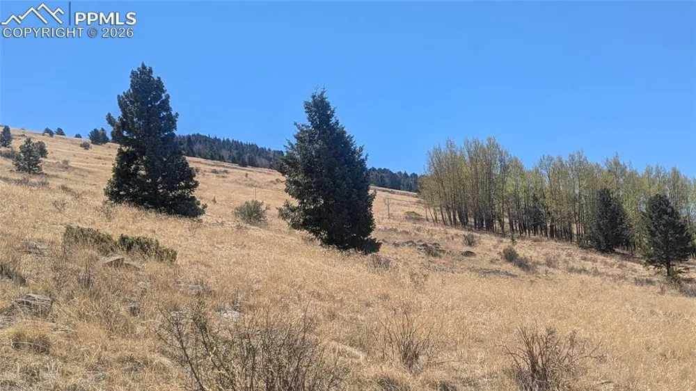 1960 Troy Drive Cripple Creek, CO 80813