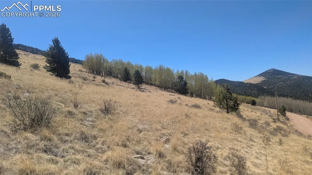 1960 Troy Drive Cripple Creek, CO 80813