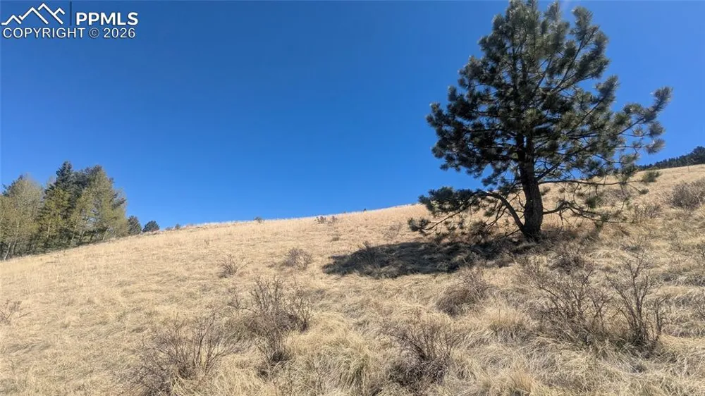 1960 Troy Drive Cripple Creek, CO 80813