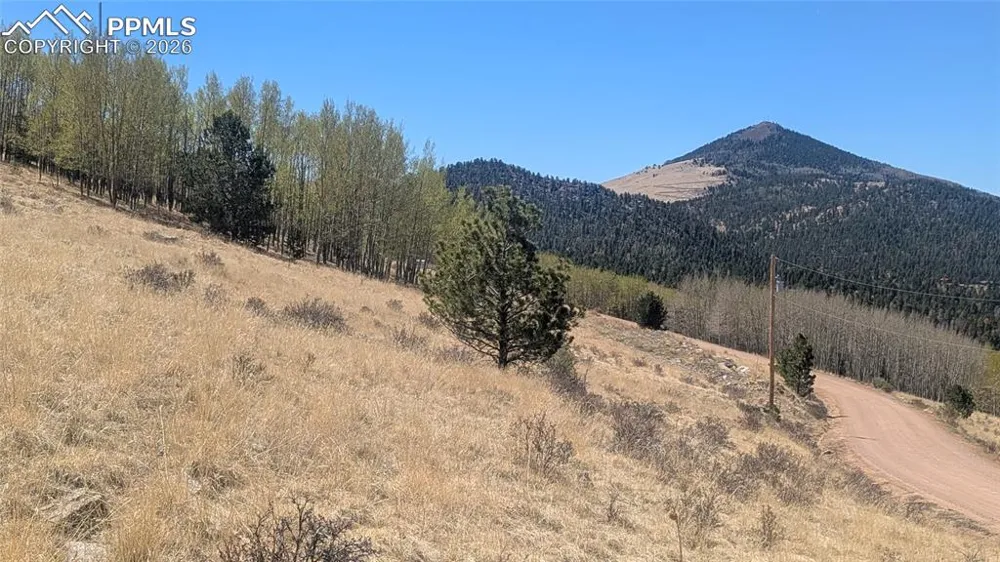 1960 Troy Drive Cripple Creek, CO 80813