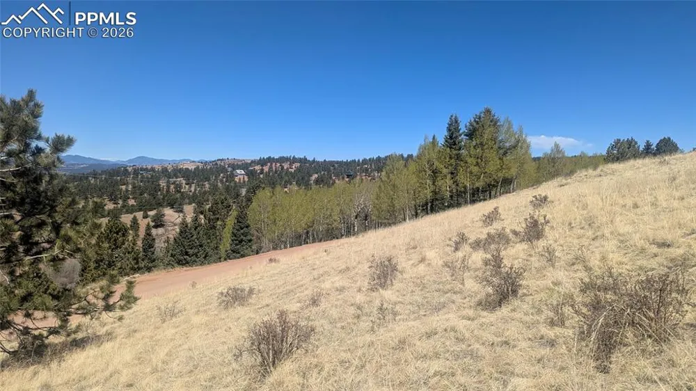 1960 Troy Drive Cripple Creek, CO 80813