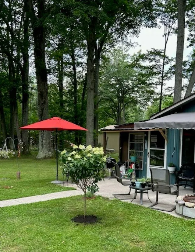 4355 Owl Road Alcona Township, MI 48742